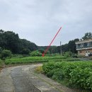 컴인워시평택브레인시티점