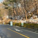 분당-257 | 모쓰 분당 핫플 단체모임하기 좋은 율동공원 대형카페 추천