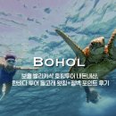 투어포인트 | 보홀 발리카삭 호핑투어 내돈내산, 한바다 투어 돌고래 왓칭+절벽 포인트 후기