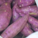 제철음식, 유기농 호박과 고구마요리 *^^*(단호박해물떡찜,고구마맛탕) 이미지