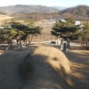 이사위묘 이미지