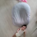 147일. 육아일기 (이곳저곳 방문하느라 바쁜 하루~)