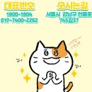 지니렌터카 이미지