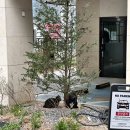 봄안경 신월점 | 240429 : 봄을 보내고 여름의 마중을 나가며