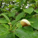 남해-145 이미지