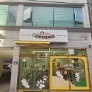 조아라 미용실 | 부산고양이미용 잘하는곳 만족도 높은 고양이조아라 후기