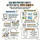 다온워크 | 안산 가볼만한곳] 5~6월 걷기좋은길 27곳 걷고 다온 상품권 받는 'in산in해 캐릭터잡기 챌린지' (ft...