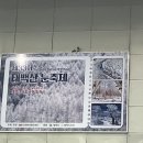 퍼시먼관광호텔 | 정선 '민둥산' 겨울 등산 후기 (코스 1 소요시간, 초보자 등산 난이도) / '퍼시먼 관광호텔' , '금용반점'