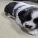 남지카공업사 이미지