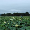 선덕여고앞 이미지