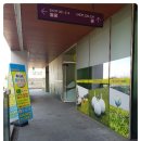 아이코치 골프클럽 이미지