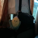 SK오렌지약국 | Bangkok🇹🇭 day1~2 (유사톤 호텔- 노스이스트 - 룸피니 공원 - 아이콘 시암 - 왓아룬 - 람부뜨리 로드...