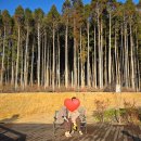 자연온천여관 | 여행 료칸 추천 | 23개월 아기랑 잇코텐(Ikkoten) 2박 연박 숙박 후기 (가족탕/프라이빗 온천/아이 동반)