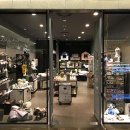 강남애견백화점 이미지