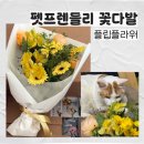 플라워펫 | 펫프렌들리 꽃정기구독을 찾는다면, 플립플라워 │ 고양이 집사 찐 후기