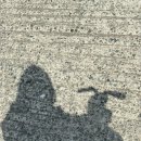 토이 뽑기랜드 4호점 이미지