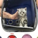 남해-311 이미지