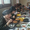 마평교 - 평창군 | 마평교