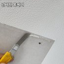 평택대광교회 주변 | 안성. 평택 고덕 아파트 천장 벽지 복원 시공 후기