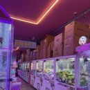 지구오락실 포곡점 이미지