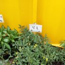 청종농장 이미지