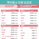 대형견 이발소 이미지