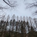 성화당구장 이미지