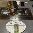 천하튀김꼬치전문점 | [잠실]신상 양꼬치 잠실 맛집 원조강뚝 꼬치구이 전문점 잠실점