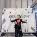 (공연) 지브리 & 디즈니 영화음악 FESTA | 일상공유 | 지브리&amp;디즈니 영화음악 FESTA 후기