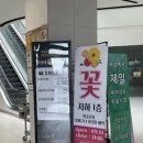여울플라워