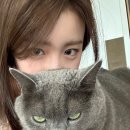 행운노래바 이미지