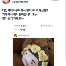 카페에 누가 덕질 인형을 두고 갔는데.twt 이미지