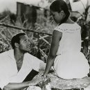 카니발의 아침 이미지