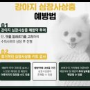 남원동물병원 이미지