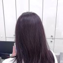 스마트하우스K | 인천 레드바이올렛 염색컬러 찾는다면?20대여성에게 어울리는 레드바이올렛염색