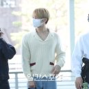 디노사이버 이미지