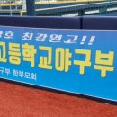 태장체육단지 야구장 이미지