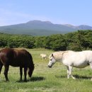 rest in jeju 이미지