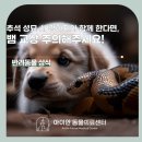 암사동물병원 이미지