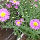 한가람한의원 이미지