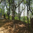 동작충효길 7코스 까치산길 이미지