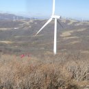 삼인목장 이미지