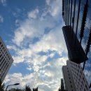알라보 강남점 방문 후기! 푸짐한 샐러드와 맛있는 파스타의 만남