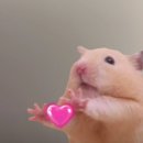 귀빈모텔 이미지