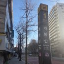 개화산역 | 개화산역 두피관리 추천｜썬데이뷰티 두피진단 &amp; 두피 스케일링 솔직 후기