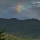 옐로우시티 이미지