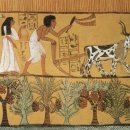 사피엔스 | [사피엔스 후기] 곰돌의 사피엔스