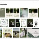 디자인비즈넷