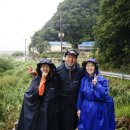 안태초등학교 이미지