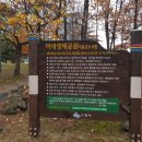 삼성전자 맞은편 공원 이미지